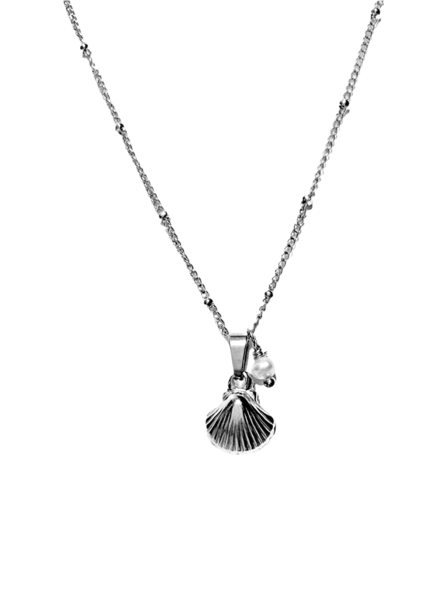 Seashell Necklace