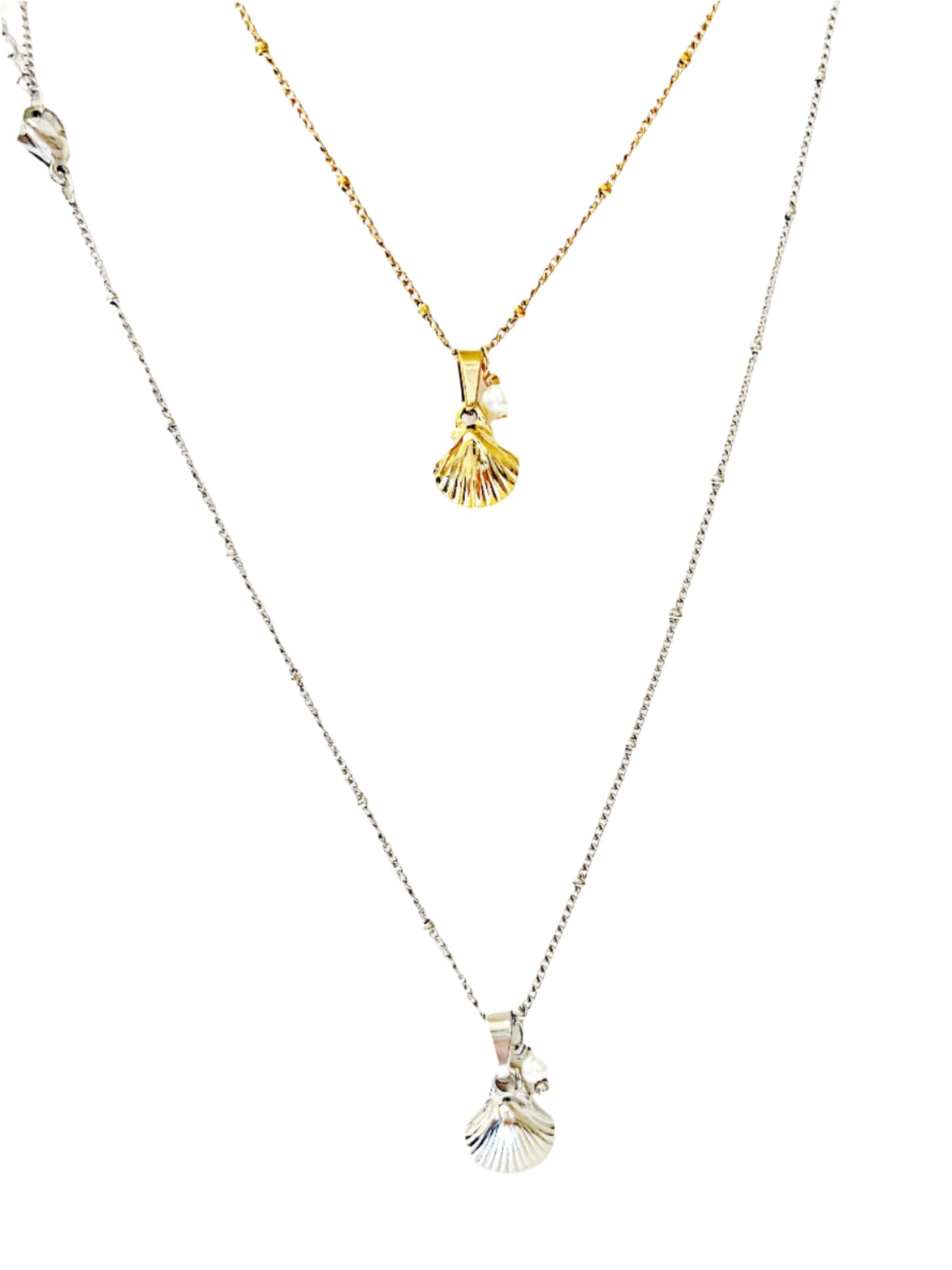 Seashell Necklace