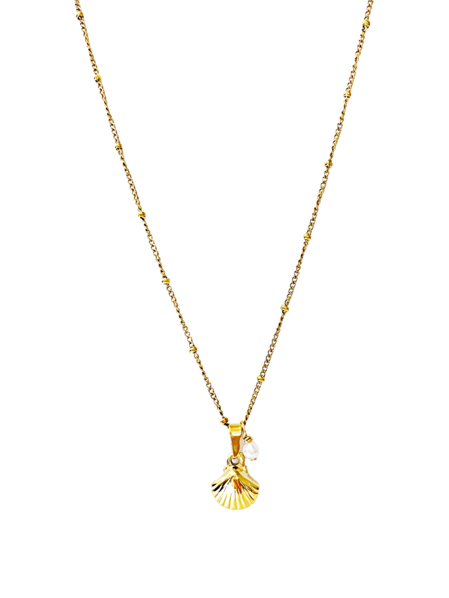 Seashell Necklace